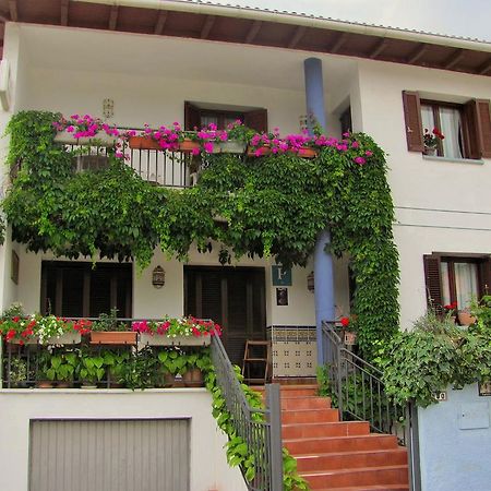Pension El Peregrino De Larrasoana Dış mekan fotoğraf